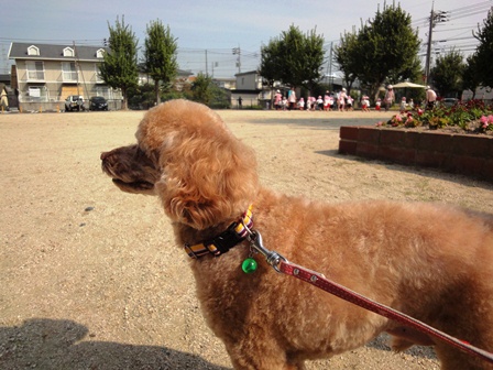 20111012no1.jpg