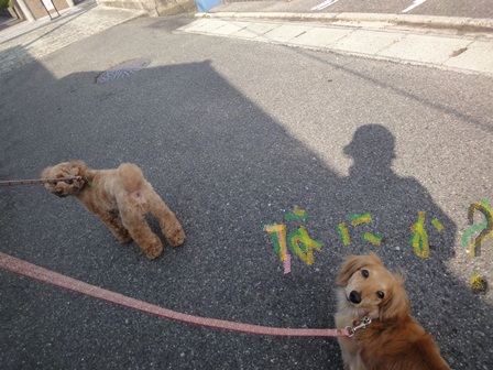 20111012no67.jpg