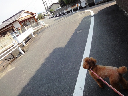 20111012no8.jpg