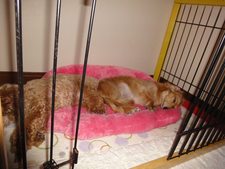 20111025no3.jpg