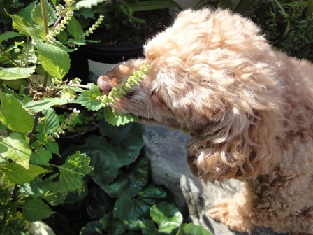 2011108no2.jpg