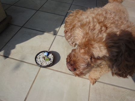 2011108no5.jpg