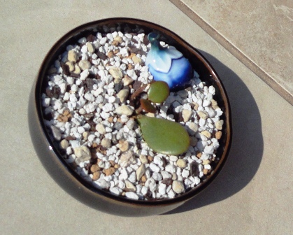 2011108no6.jpg