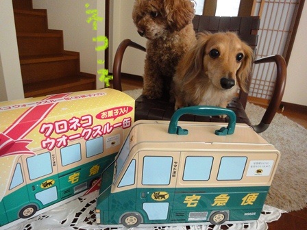 20111220no11.jpg