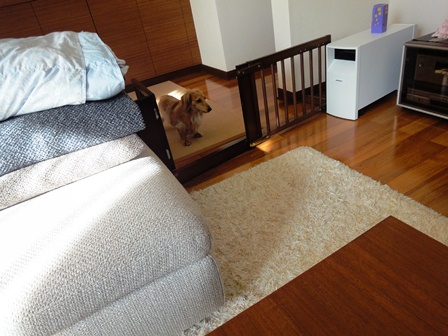 20111220no3.jpg