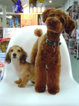 20111223no1.jpg