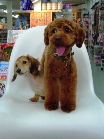 20111223no3.jpg